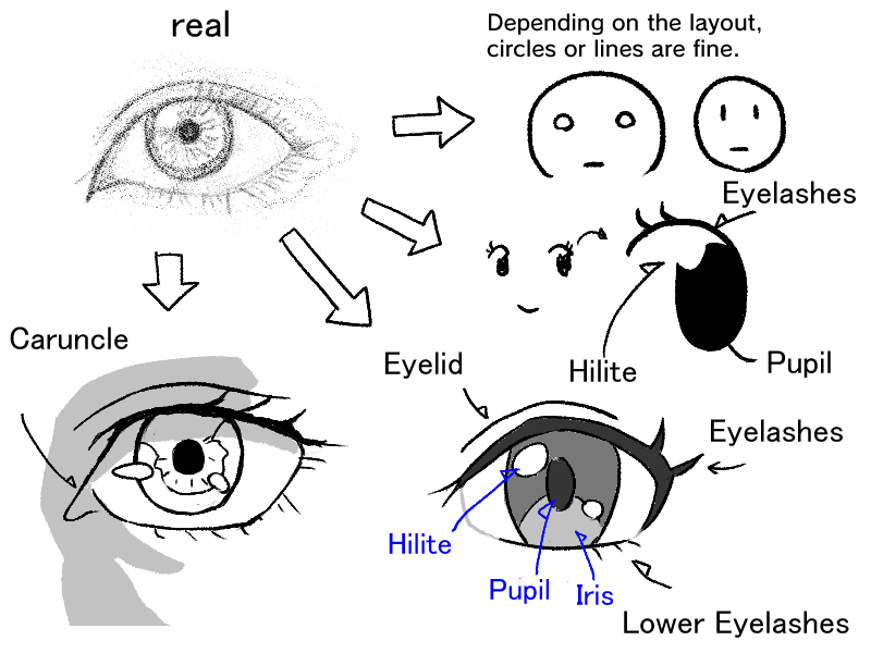 How to Draw Anime Eyes  Anime Eyes StepbyStep Tutorial